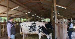 La Nación / Cooperativas duplican su participación en exportaciones de carne y fortalecen el agro