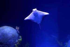 AquaFoz: un portento azul - Viajes - ABC Color