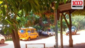 Hombre fallece tras ser atacado por avispas en Luque