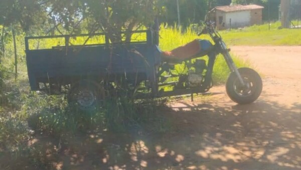 Tragedia en Luque: Hombre murió tras ataque de abejas
