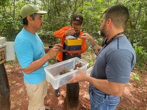 Realizan primera extracción de miel en Refugio Biológico de Mbaracayú - ADN Digital