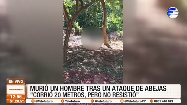 Hombre murió tras ataque avispas en zona de Luque