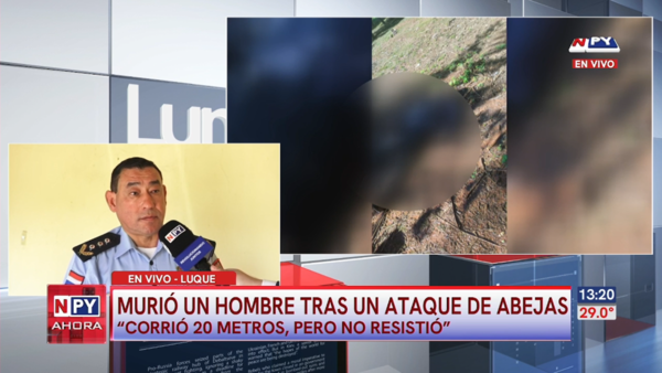 Tragedia en Luque: Fallece un trabajador tras ataque de avispas