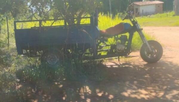 Hombre fallece tras ser atacado por un enjambre de abejas - Noticiero Paraguay