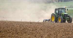 La Nación / Cuestionan salvaguardias del Acuerdo Mercosur-UE por considerarlas freno unilateral