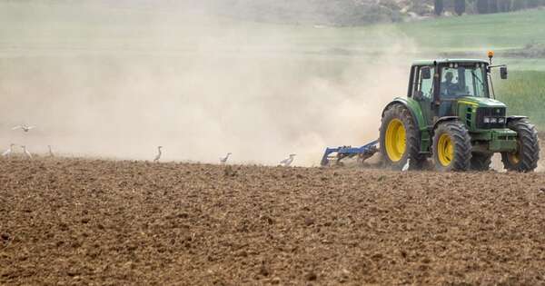 La Nación / Cuestionan salvaguardias del Acuerdo Mercosur-UE por considerarlas freno unilateral