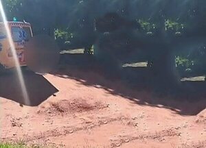 Muerte por ataque de avispas en Tarumandy