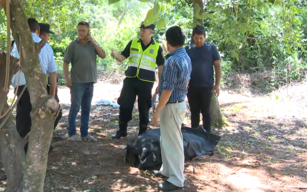 Hombre de 70 años falleció tras mortal ataque de avispas en Luque - trece