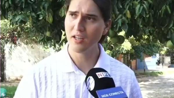 Apicultor pide no molestar a panales de abejas y avispas ante riesgo mortal