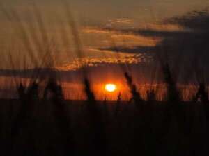 Meteorología: temperatura en aumento antes de nuevos días de lluvia en Paraguay - Clima - ABC Color