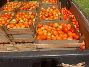 Contrabando generó pérdidas de US$ 21,3 millones en 2025