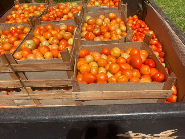 Contrabando generó pérdidas de US$ 21,3 millones en 2025