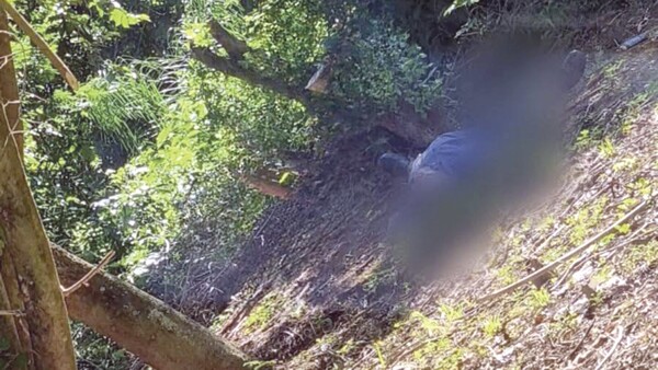 “Su cuerpo ya estaba cubierto de abejas”, dijo