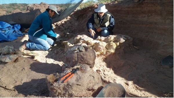 Científicos argentinos descubren nueva especie de dinosaurio gigante en la Patagonia