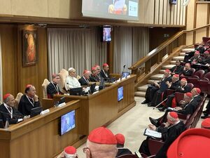 El Papa pide a cardenales “no cerrar los corazones” y escuchar - Portal Digital Cáritas Universidad Católica
