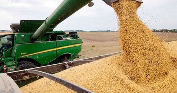 La Nación / La agroindustria marca un récord de molienda de soja y destaca en valor agregado