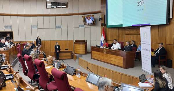 La Nación / En el Congreso, fuerzas públicas expresan preocupación por cambios jubilatorios