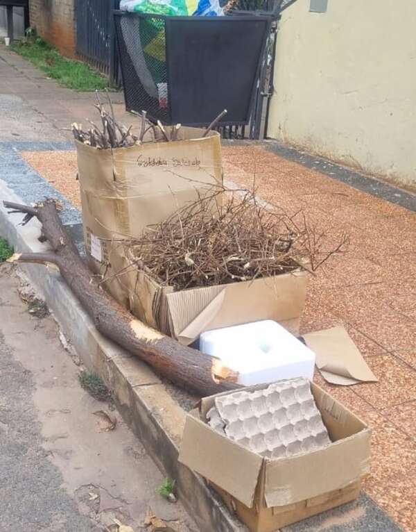 Villa Elisa: Vecinos denuncian falta de recolección de basura desde año nuevo - Nacionales - ABC Color
