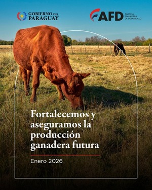 Con línea de crédito para ganaderos se pretende abaratar el precio de la carne - ADN Digital