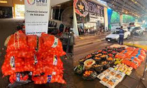 Controles en el Puente de la Amistad dejan importantes decomisos de mercaderías - OviedoPress