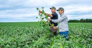 La Nación / Optimismo por zafriña: soja y maíz apuntan a altos rindes y más volumen