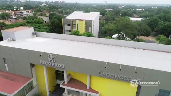 Video: Hablando Sinceramente en Familia | La educación como base para la vida