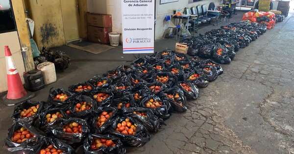 La Nación / DNIT de CDE incautó más de 180 mil kilos de productos frutihortícolas en el 2025