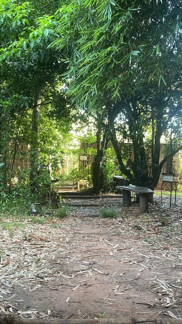 Aprender y sanar en la naturaleza: retiro de plantas medicinales y meditación - ADN Digital