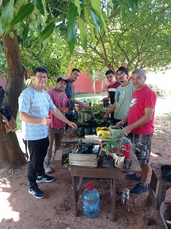 Autogestión ciudadana: La red que reforesta el Paraguay