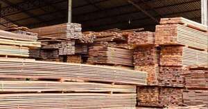 La Nación / Productos forestales se posicionan mejor