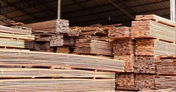 La Nación / Productos forestales se posicionan mejor