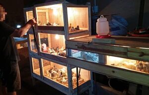 De la celda al campo: El renacer laboral en la Granja Itá Porä