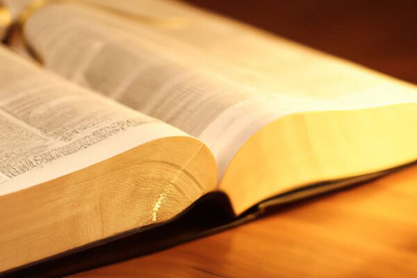 Miércoles 14 de enero de 2026 - Portal Digital Cáritas Universidad Católica