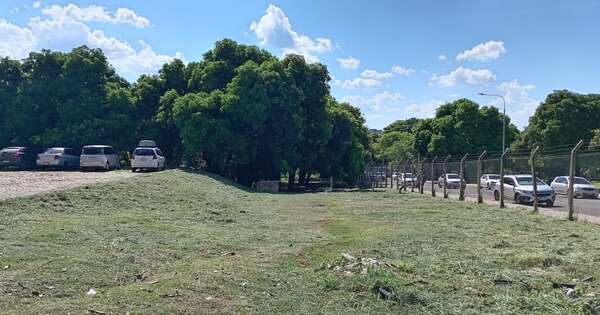 La Nación / IPS inició tareas de limpieza de espacios verdes del Hospital Central