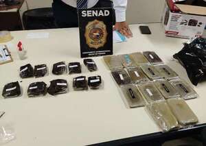 Incautan marihuana premium proveniente de Miami en el Silvio Pettirossi - Policiales - ABC Color