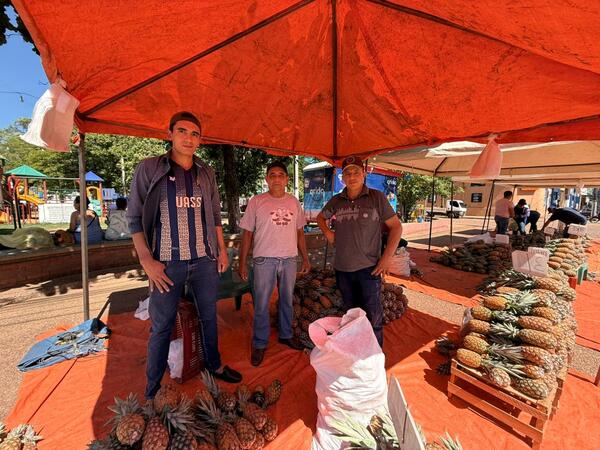 Alta producción garantiza más días de feria de piña en Concepción - Concepción al Día