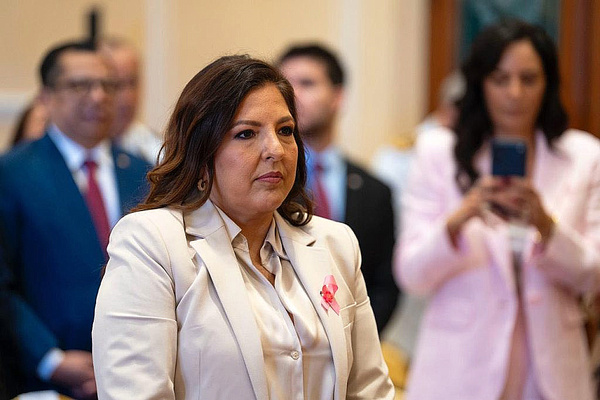 Ministra presenta medidas contra la violencia de género