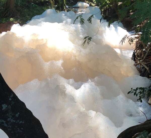 Municipalidad y Mades intervienen tras viralización de imágenes de espuma en el arroyo Acaraymi - ABC en el Este - ABC Color