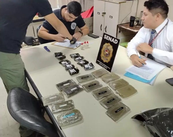 Incautan más de 11 kilos de marihuana “premium” en Silvio Pettirossi - Concepción al Día