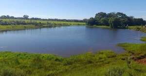 Diario HOY | Fue de cacería y ya no volvió: hallan cuerpo sin vida en tajamar de Carmen del Paraná