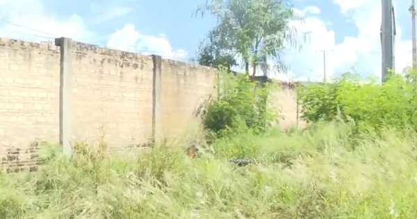 Diario HOY | “Chespi” provoca principio de incendio en subestación de la Costanera Sur