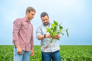 Optimismo para la zafriña: soja y maíz apuntan a altos rindes y mayor volumen - ADN Digital