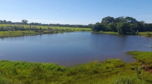 Reportan hallazgo de cadáver en un tajamar de Carmen del Paraná | Unicanal