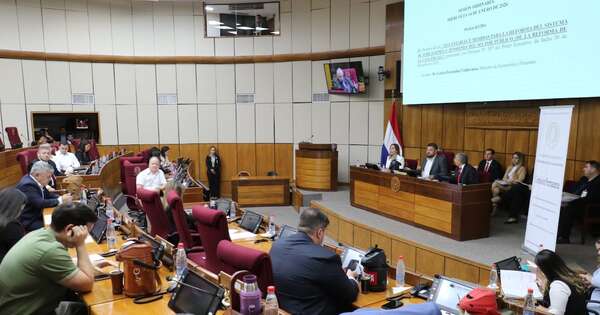 La Nación / Reforma jubilatoria debe alcanzar a todas las cajas, incluida la parlamentaria