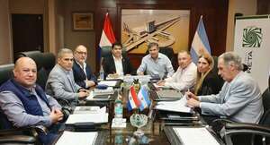 Javier Milei mueve piezas en Yacyretá y hace enroques - Economía - ABC Color