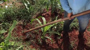 Video: Camino al desarrollo | La importancia de profundizar en el significado de las ideas