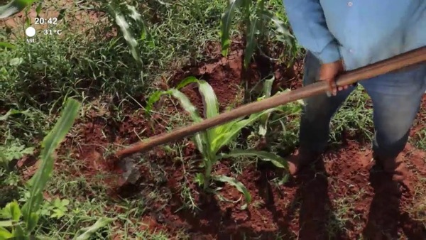 Video: Camino al desarrollo | La importancia de profundizar en el significado de las ideas