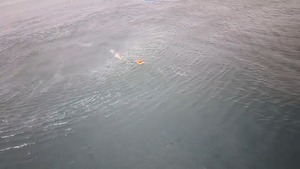 Popular / (Video) Rescatan a pescador luego de 17 horas aferrado a una heladera tras naufragar