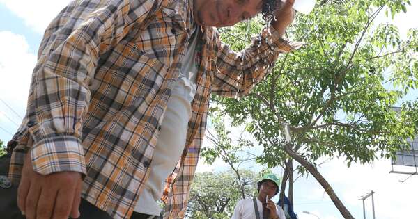 La Nación / Pronostican calor intenso para este jueves, con máxima de hasta 40 ℃