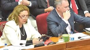 Advierten que si se elimina la caja parlamentaria, la gente pagará a los ex parlamentarios